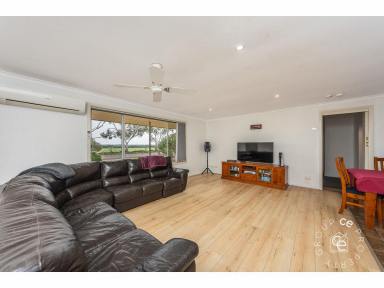House For Sale - SA - Cambrai - 5353 - Don’t Miss This Opportunity  (Image 2)
