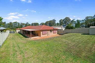 House For Sale - NSW - Raymond Terrace - 2324 - SPACIOUS FAMILY LIVING ON AN IMPRESSIVE 800M²+ BLOCK  (Image 2)