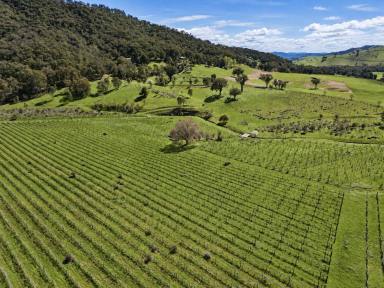 Lifestyle For Sale - VIC - Walwa - 3709 - 8792 Murray River Road, Walwa  (Image 2)