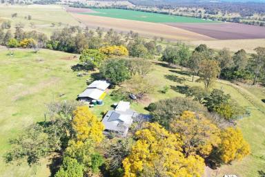 Mixed Farming For Sale - NSW - Kyogle - 2474 - 'KINROSS PARK" STRATHEDEN  (Image 2)