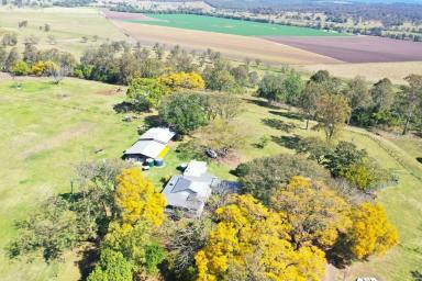 Mixed Farming For Sale - NSW - Kyogle - 2474 - ''KINROSS PARK" STRATHEDEN  (Image 2)