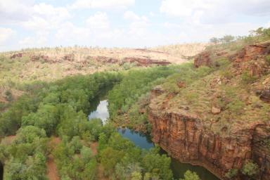 Livestock For Sale - NT - Buchanan - 0852 - LIMBUNYA STATION | VICTORIA RIVER DISTRICT, NT  (Image 2)