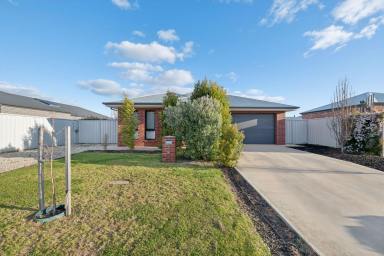 House For Sale - VIC - Irymple - 3498 - DREAM IRYMPLE LOCATION, FABULOUS HOME  (Image 2)