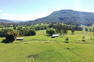 Lifestyle For Sale - NSW - Kyogle - 2474 - BUY 3 IN 1 - COLLINS CREEK  (Image 2)