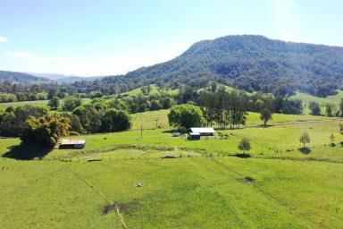 Lifestyle For Sale - NSW - Kyogle - 2474 - BUY 3 IN 1 - COLLINS CREEK  (Image 2)