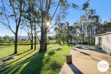 House For Sale - VIC - Allans Flat - 3691 - SPACE, SHEDDING & COUNTRY VIEWS  (Image 2)