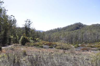 Lifestyle For Sale - NSW - Nymboida - 2460 - ESCAPE TO 150 ACRES OF NYMBOIDA  (Image 2)