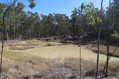 Lifestyle For Sale - NSW - Nymboida - 2460 - ESCAPE TO 150 ACRES OF NYMBOIDA  (Image 2)