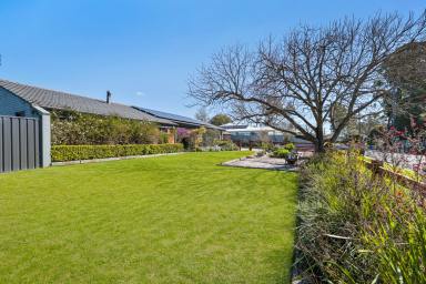 House For Sale - NSW - Mudgee - 2850 - STYLISH AND MODERN LIVING  (Image 2)