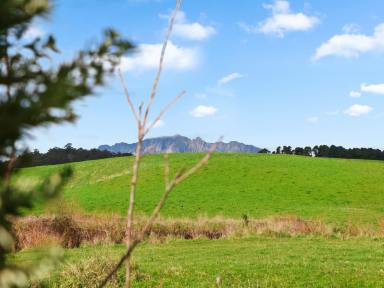 House For Sale - TAS - Wilmot - 7310 - Historic Homestead & Thriving Airbnb Tiny Home  (Image 2)