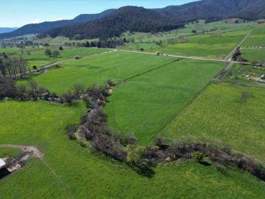 Other (Rural) For Sale - VIC - Eskdale - 3701 - Corner the Market in Eskdale’s High Country  (Image 2)