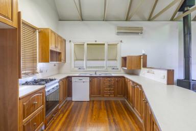 House For Sale - NSW - Grafton - 2460 - PRE-WAR CHARACTER COTTAGE — A RENOVATORS DREAM IN THE HEART OF GRAFTON  (Image 2)