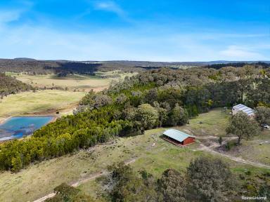 House For Sale - NSW - Canyonleigh - 2577 - "Mudburra" Southern Highlands - 110 acres Rural Lifestyle (Image 2)