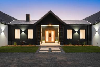 Lifestyle Auction - NSW - Crookwell - 2583 - Small-Acreage Living with Space, Flexibility & Exceptional Family Accommodation (Image 2)