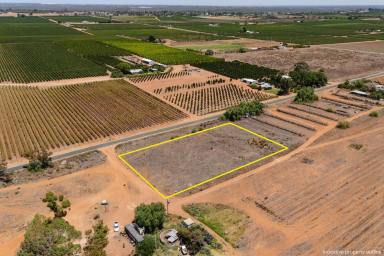 Residential Block For Sale - NSW - Coomealla - 2717 - YOUR COUNTRY LIFESTYLE, READY TO BUILD  (Image 2)