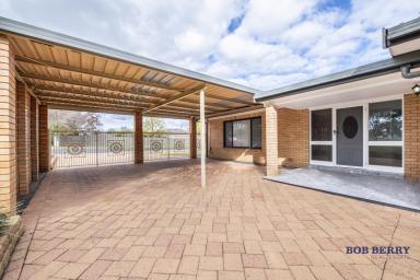 House For Lease - NSW - Dubbo - 2830 - Family Home Near Parkland, Schools & Shops  (Image 2)