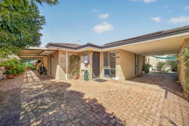 Villa For Sale - WA - St James - 6102 - THE BACKYARD YOU DON’T EXPECT FROM A VILLA  (Image 2)