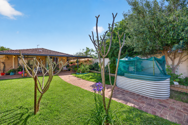 Villa For Sale - WA - St James - 6102 - BIG BACKYARD. LOW-MAINTENANCE LIVING. BEST OF BOTH WORLDS! (Image 2)