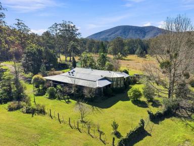 Lifestyle For Sale - NSW - Crawford River - 2423 - A truly unique 150 acre river front retreat. (Image 2)
