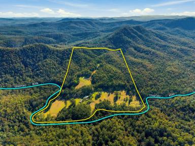 Lifestyle For Sale - NSW - Crawford River - 2423 - A truly unique 150 acre river front retreat. (Image 2)