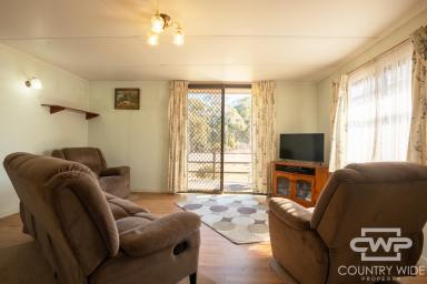 House For Sale - NSW - Emmaville - 2371 - Space, Lifestyle & Endless Potential on 2 Acres (Image 2)