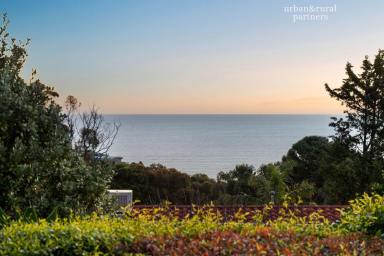 House For Sale - SA - Hallett Cove - 5158 - Private Ocean Views • Entertainer's Dream • Exceptional Versatility (Image 2)