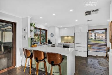 House For Sale - SA - Hallett Cove - 5158 - Private Ocean Views • Entertainer's Dream • Exceptional Versatility (Image 2)