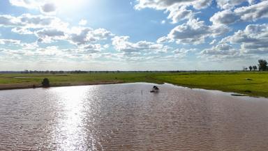 Lifestyle For Sale - NSW - Narromine - 2821 - Foundations of a Superb Rural Lifestyle Property with Equine Facilities  (Image 2)