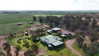 Lifestyle For Sale - NSW - Narromine - 2821 - Foundations of a Superb Rural Lifestyle Property with Equine Facilities  (Image 2)