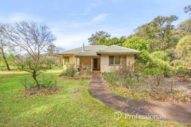 Lifestyle For Sale - WA - Worsley - 6225 - Rural Seclusion, Abundant Water & 46 Acres of Opportunity  (Image 2)