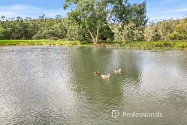 Lifestyle For Sale - WA - Worsley - 6225 - Rural Seclusion, Abundant Water & 46 Acres of Opportunity  (Image 2)