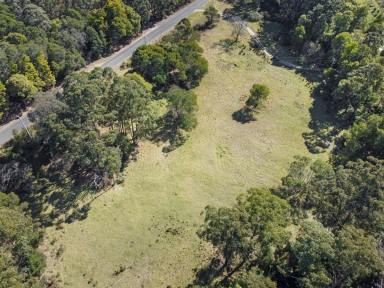 Other (Rural) For Sale - VIC - Club Terrace - 3889 - CREEKSIDE BLOCK ON THE EDGE OF CROWN LAND  (Image 2)