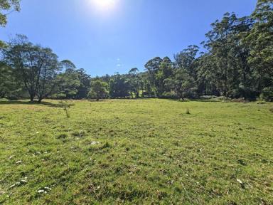 Other (Rural) For Sale - VIC - Club Terrace - 3889 - CREEKSIDE BLOCK ON THE EDGE OF CROWN LAND  (Image 2)