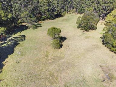 Other (Rural) For Sale - VIC - Club Terrace - 3889 - CREEKSIDE BLOCK ON THE EDGE OF CROWN LAND  (Image 2)