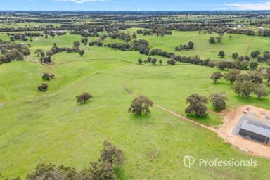 Residential Block For Sale - WA - Roelands - 6226 - Rolling Hills, Coastal Views & Productive Country  (Image 2)