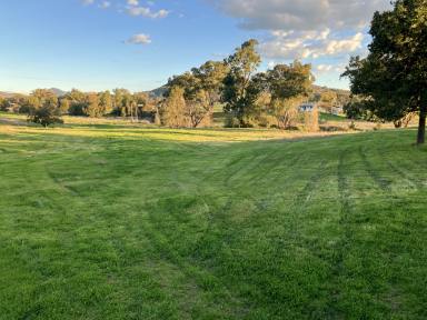 Lifestyle For Sale - NSW - Currabubula - 2342 - YOUR VERY OWN BLANK CANVAS AWAITS (Image 2)