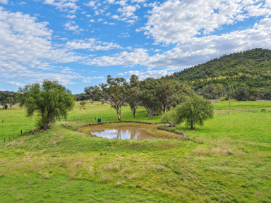 Lifestyle For Sale - NSW - Currabubula - 2342 - YOUR VERY OWN BLANK CANVAS AWAITS (Image 2)