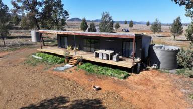 Other (Rural) For Sale - NSW - Bingara - 2404 - Renovo, Bingara (Image 2)