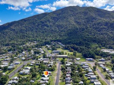 House For Sale - QLD - Tully - 4854 - Nanny & Pa’s Old Place  (Image 2)