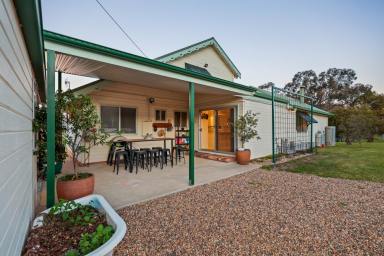 Lifestyle For Sale - NSW - Mudgee - 2850 - A VIEW WORTH COMING HOME TO (Image 2)