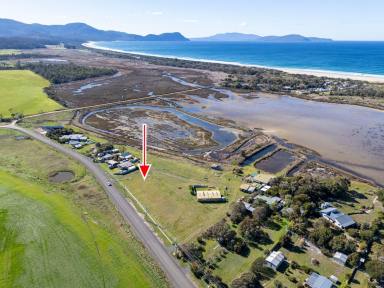 Residential Block For Sale - TAS - Marion Bay - 7175 - Coastal Living Beckons - Your Marion Bay Dream Starts Here  (Image 2)