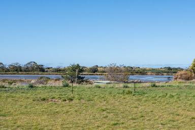 Residential Block For Sale - TAS - Marion Bay - 7175 - Coastal Living Beckons - Your Marion Bay Dream Starts Here  (Image 2)