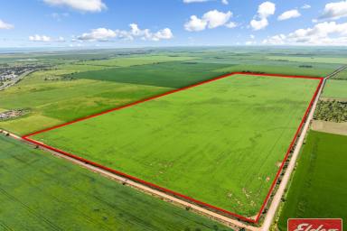 Other (Rural) For Sale - SA - Dublin - 5501 - 240 Acres - 2 Titles  (Image 2)
