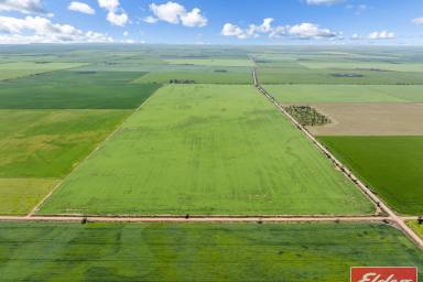 Other (Rural) For Sale - SA - Dublin - 5501 - 240 Acres - 2 Titles  (Image 2)