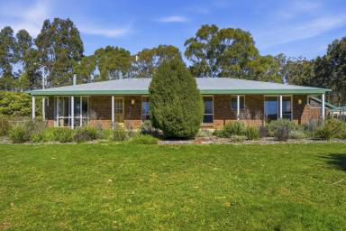 House For Sale - TAS - Mole Creek - 7304 - Mole Creek lifestyle  (Image 2)