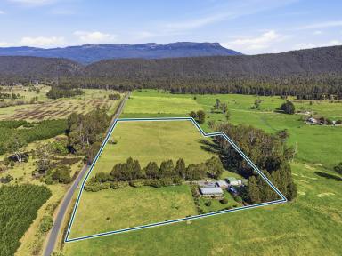 House For Sale - TAS - Mole Creek - 7304 - Mole Creek lifestyle  (Image 2)