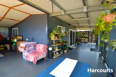 House For Sale - QLD - Apple Tree Creek - 4660 - EASY LIVING IN APPLE TREE CREEK  (Image 2)