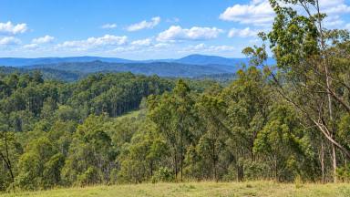 Lifestyle For Sale - NSW - Drake - 2469 - MAD MORGANS HIDEOUT  (Image 2)