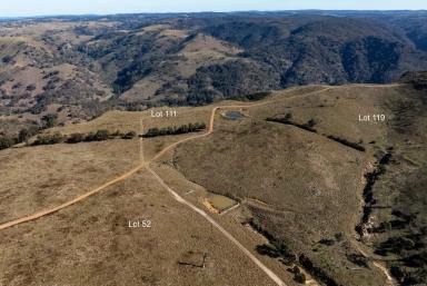 Lifestyle For Sale - NSW - Bannaby - 2580 - "Perrys Yards" Bannaby's New Affordable Rural Subdivision Opportunity Knocks!  (Image 2)