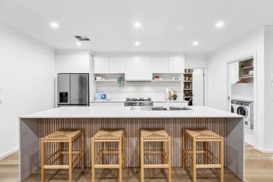 House For Sale - VIC - Mildura - 3500 - Exceptional Contemporary Living with Impressive Entertaining & Shedding  (Image 2)